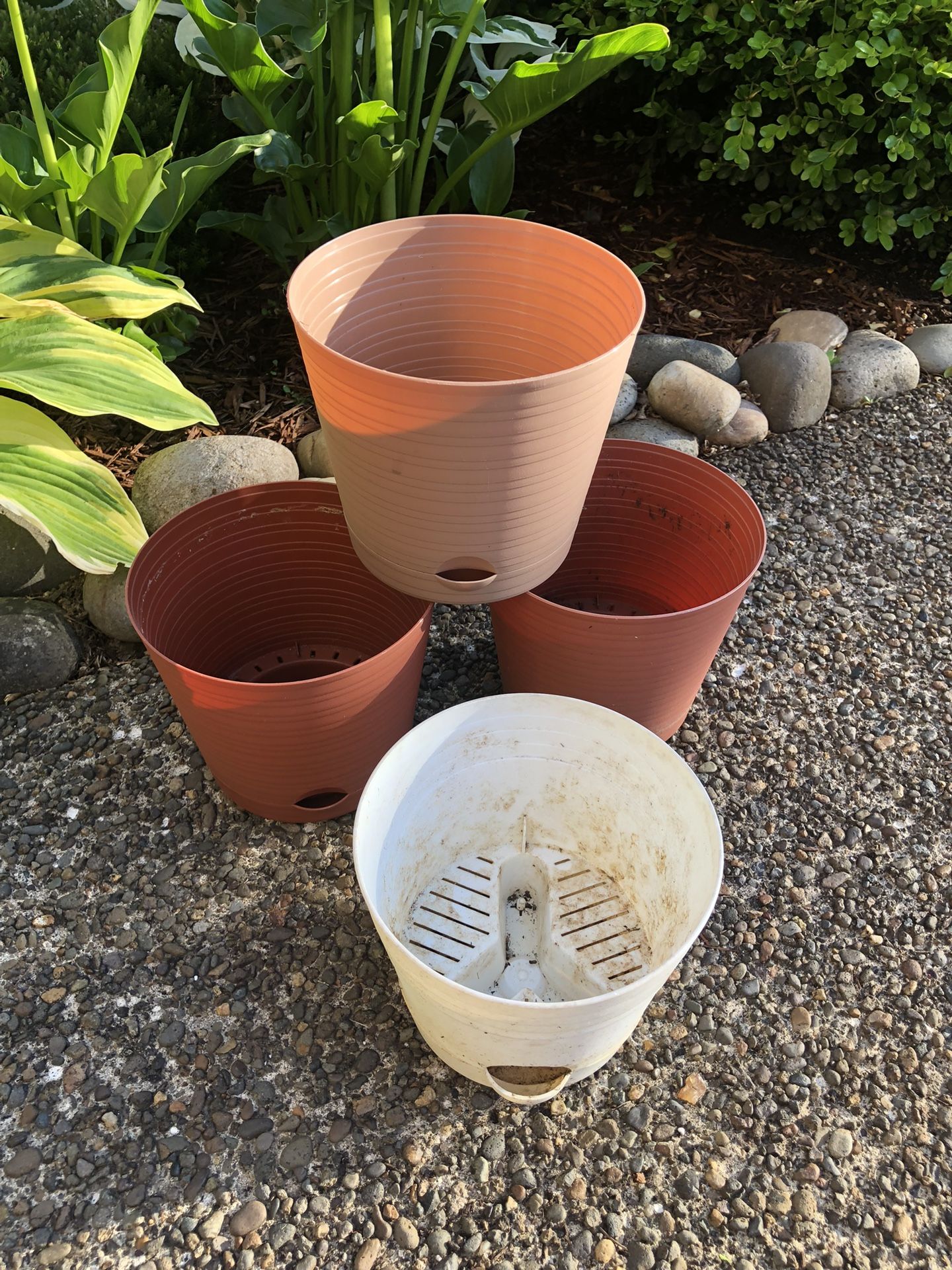 Set of 4 small flower pots