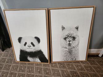 Animal Art