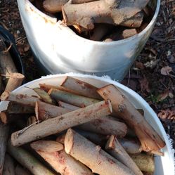 Logs Fire Wood Lumber Timber - 50 Gallon Barrel Of FireWood For 35 USD