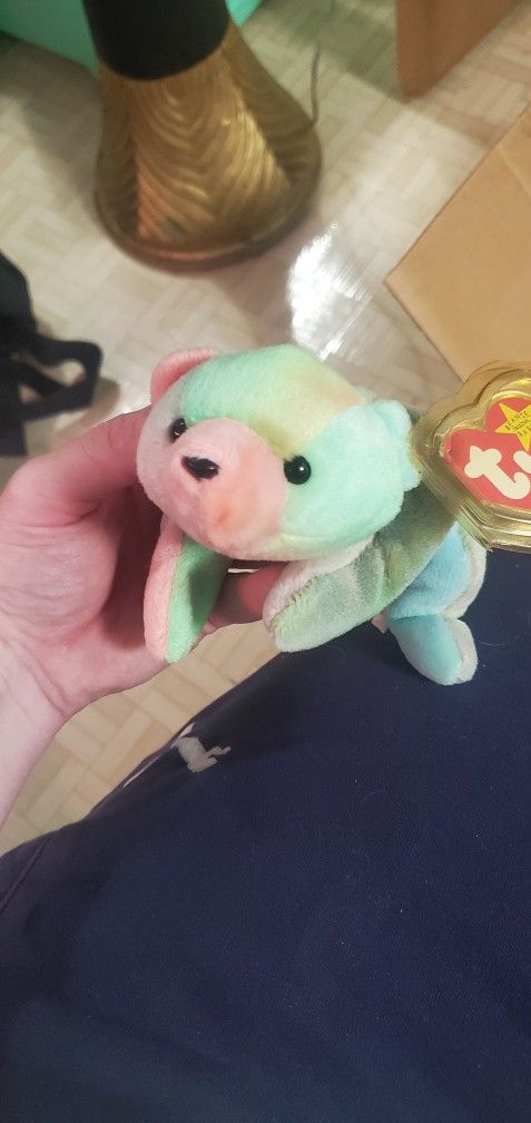 TY Beanie Babie "Sammy" From 1998 Collectible