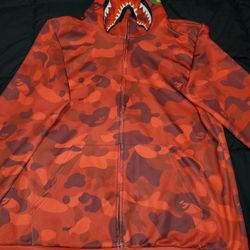 A Bathing Ape Hoodie 