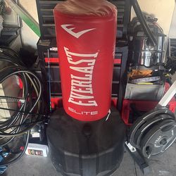 Everlast punching bag