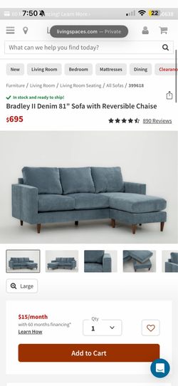 Living spaces couch