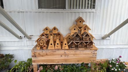 Bird House