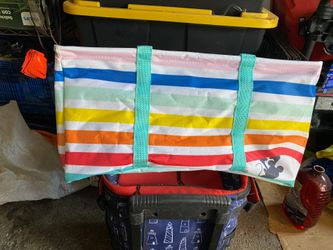 Disney picnic bag
