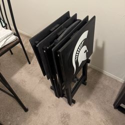 Michigan State Tv Trays