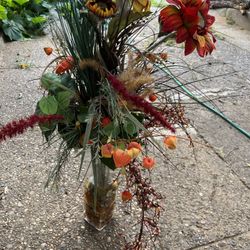 FREE Plastic Flowers, Plant & Grass