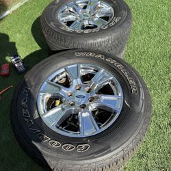 Ford F150 Rims And Tires Ford Expedition Rims 