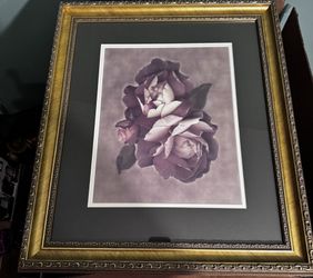 4 Framed Flower Pictures