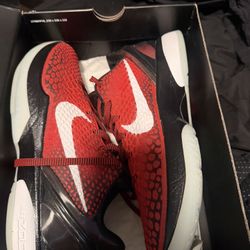 Kobe 6 Protro Challenge Red All Drar (2021) 