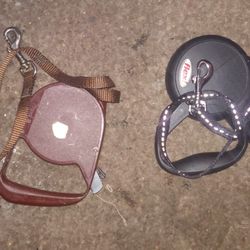 Two Dog Leashes 