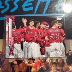 Baseball Card