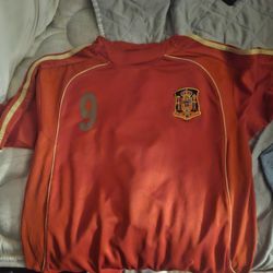 Fernando Torres  2010 Jersey Size Meduim