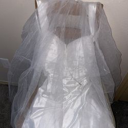 Elody | Off-the-Shoulder Short Satin Cowl Neck Simple Formal Wedding