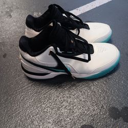 Liverpool LeBrons Size 11 1/2 