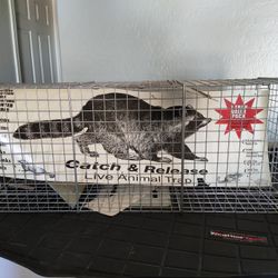 Catch And Release Trap, Large