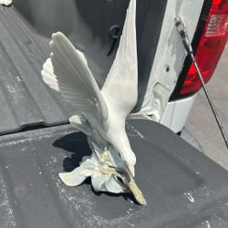 Lladro Turtle Dove