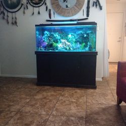 75 Gallon Fish Tank