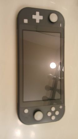 Nintendo Switch Lite Gray