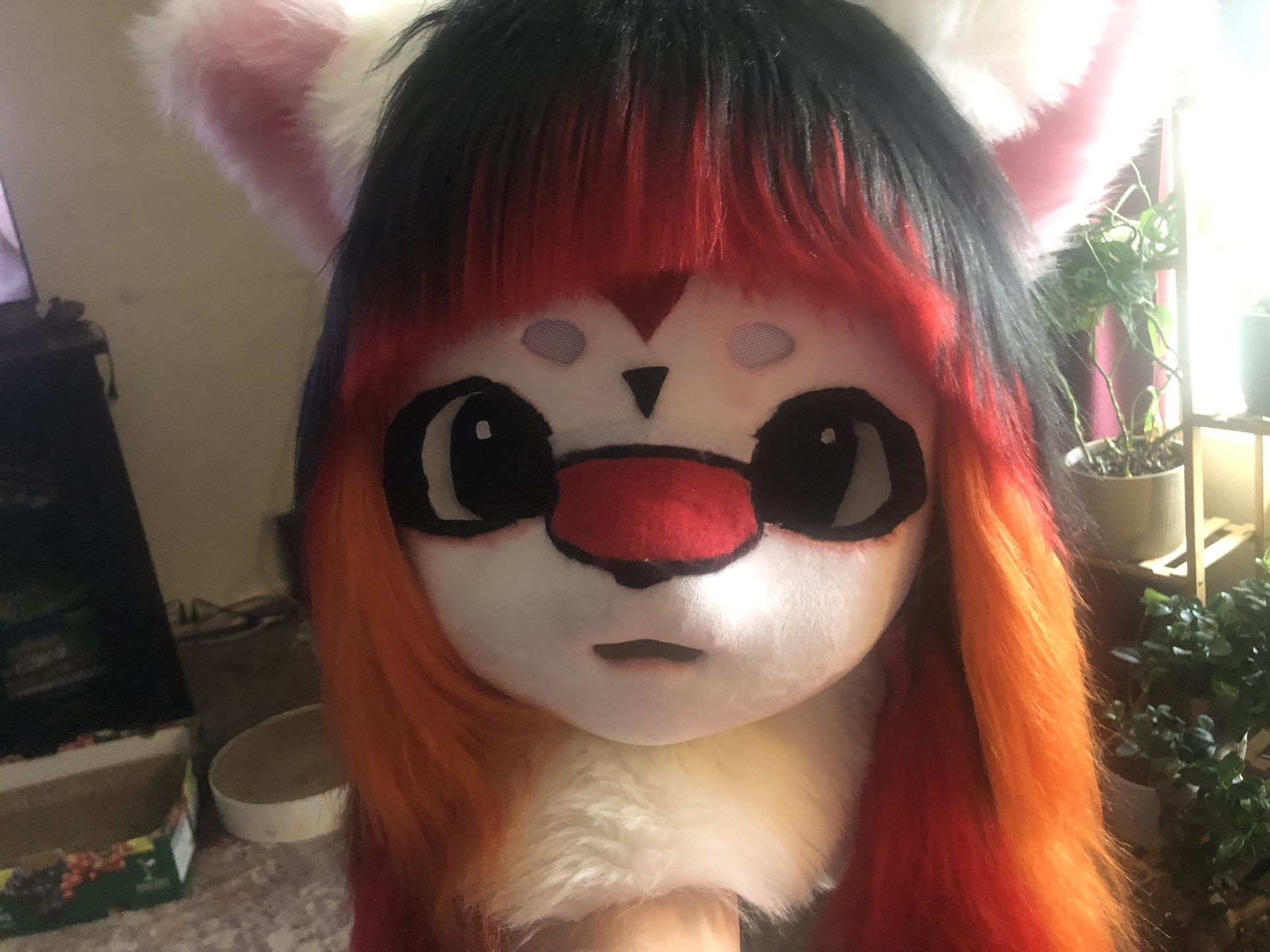 fursuit premade head for sale  / trade