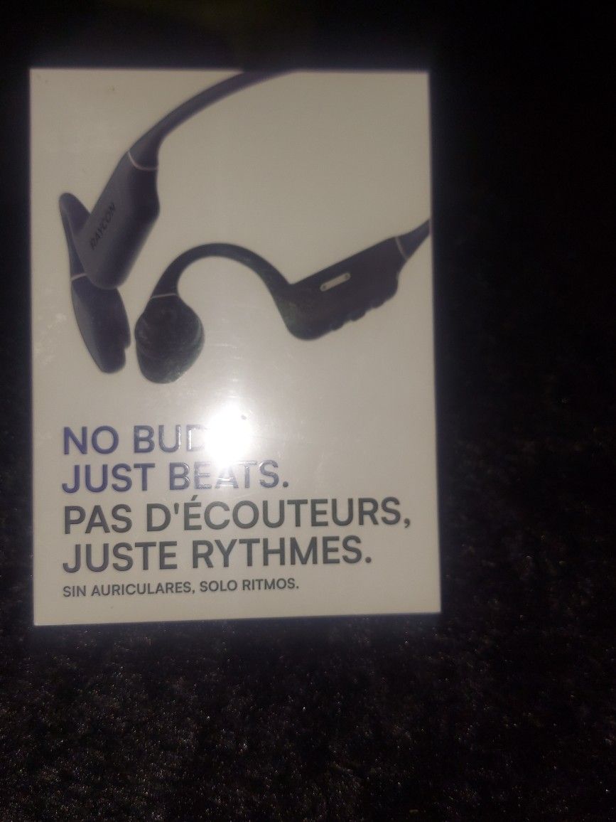Raycon Headphones