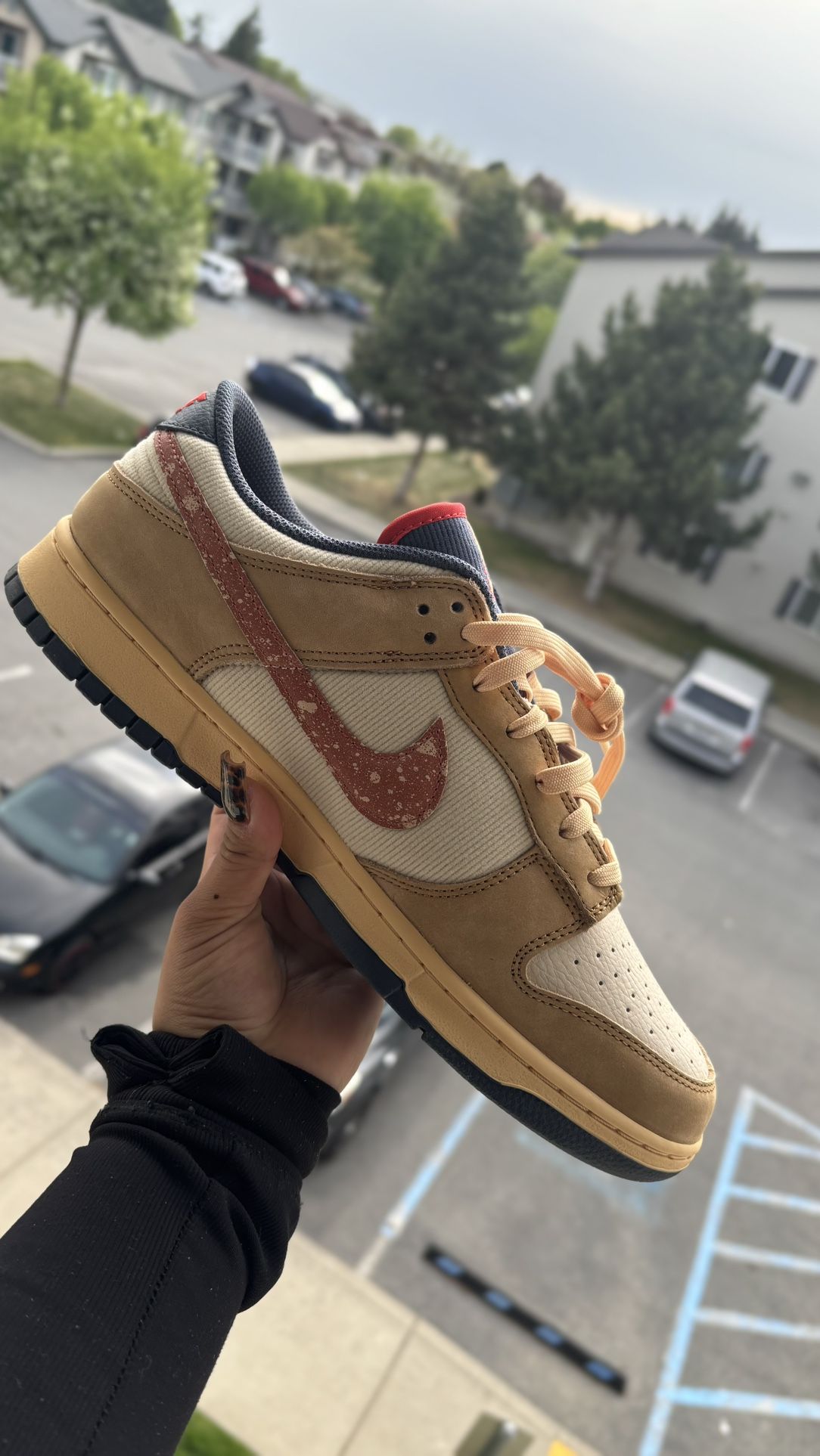 Nike Dunk Low Retro SE - Men’s Size 12 - $100 OBO (Brand New)