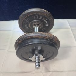 One 35 Lb Adjustable Dumbbell 