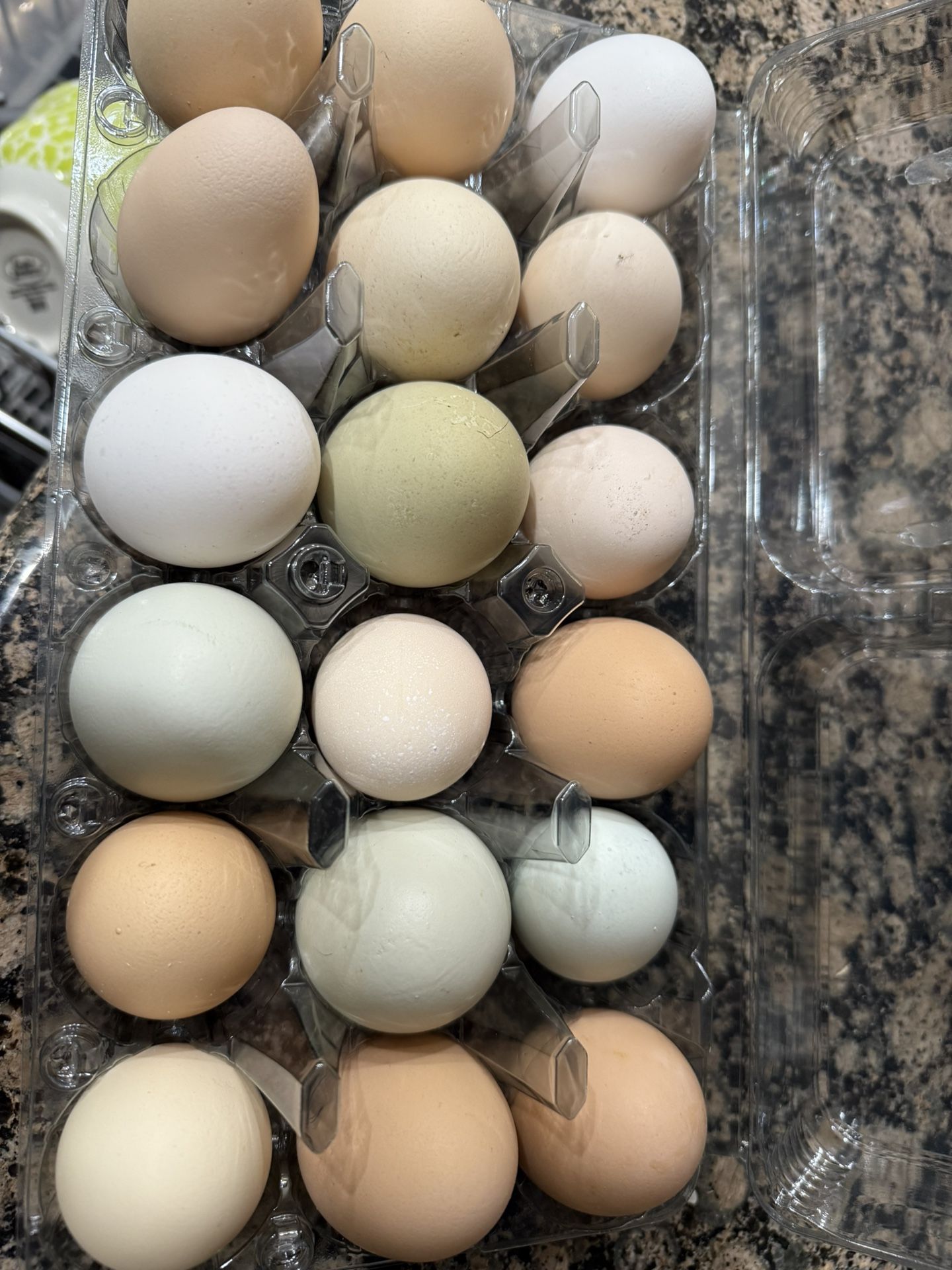 Fresh Farm Eggs