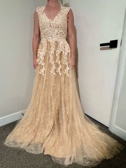Wedding Dress – Brand New with Tags – Champagne Tulle with V-Neck & Full-Lace Bodice