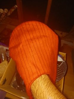 Orange hat