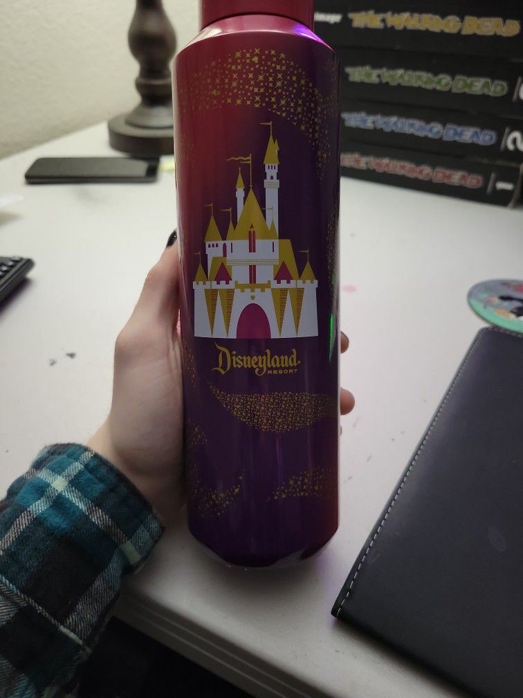 Disney Starbucks Cinderella Castle Bottle