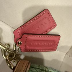  Artera Coach Y Prada
