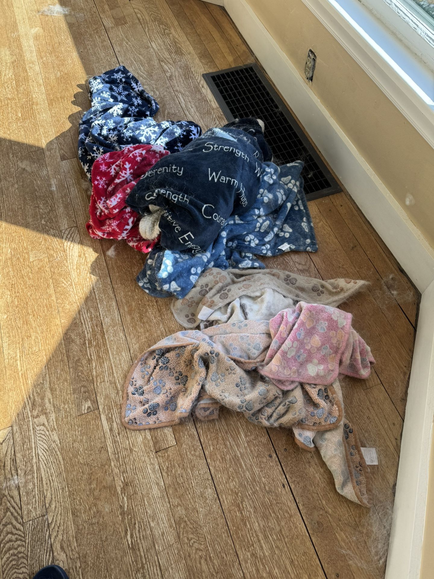Free Dog Supplies - Pee Pads, Wipes, Onesie , Cone And Blankets