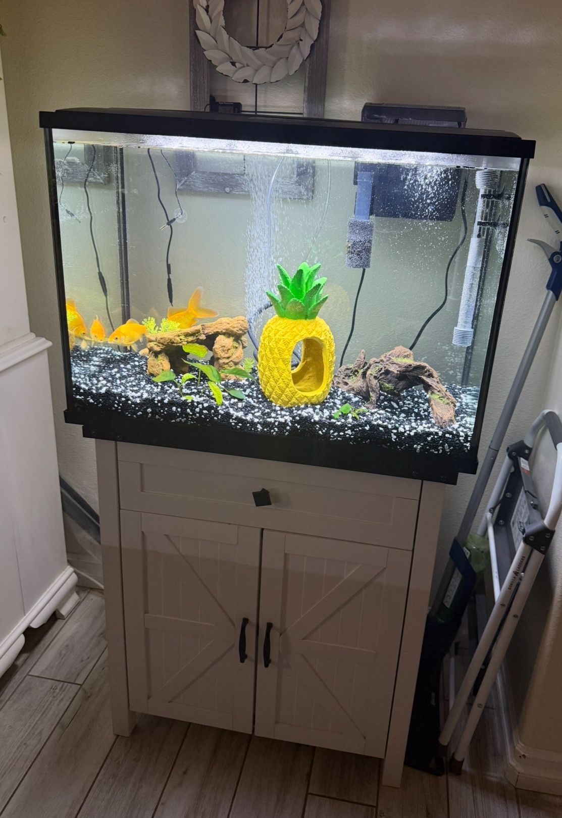 37 Gallon Fish Tank And Stand
