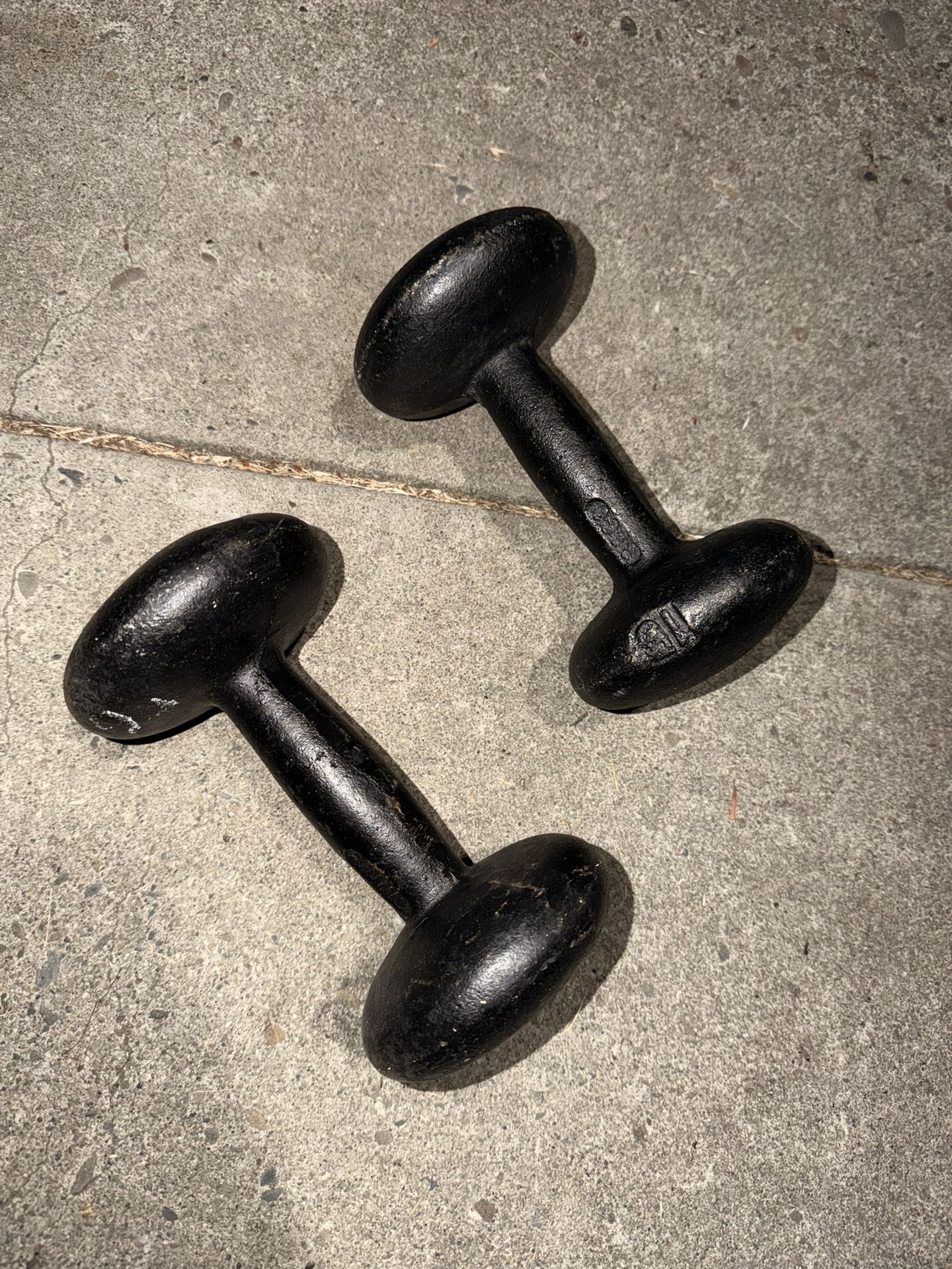 15 Lb Dumbbells