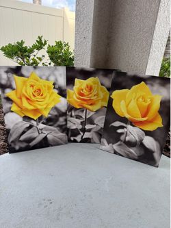Canvas wall art 3pc set