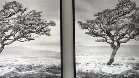 Set Of Two Decor Pictures