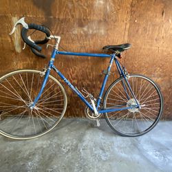 Vintage Trek Bike 