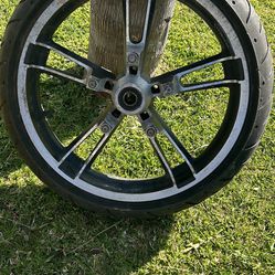 Harley Davidson Front Complete Wheel / Tire 