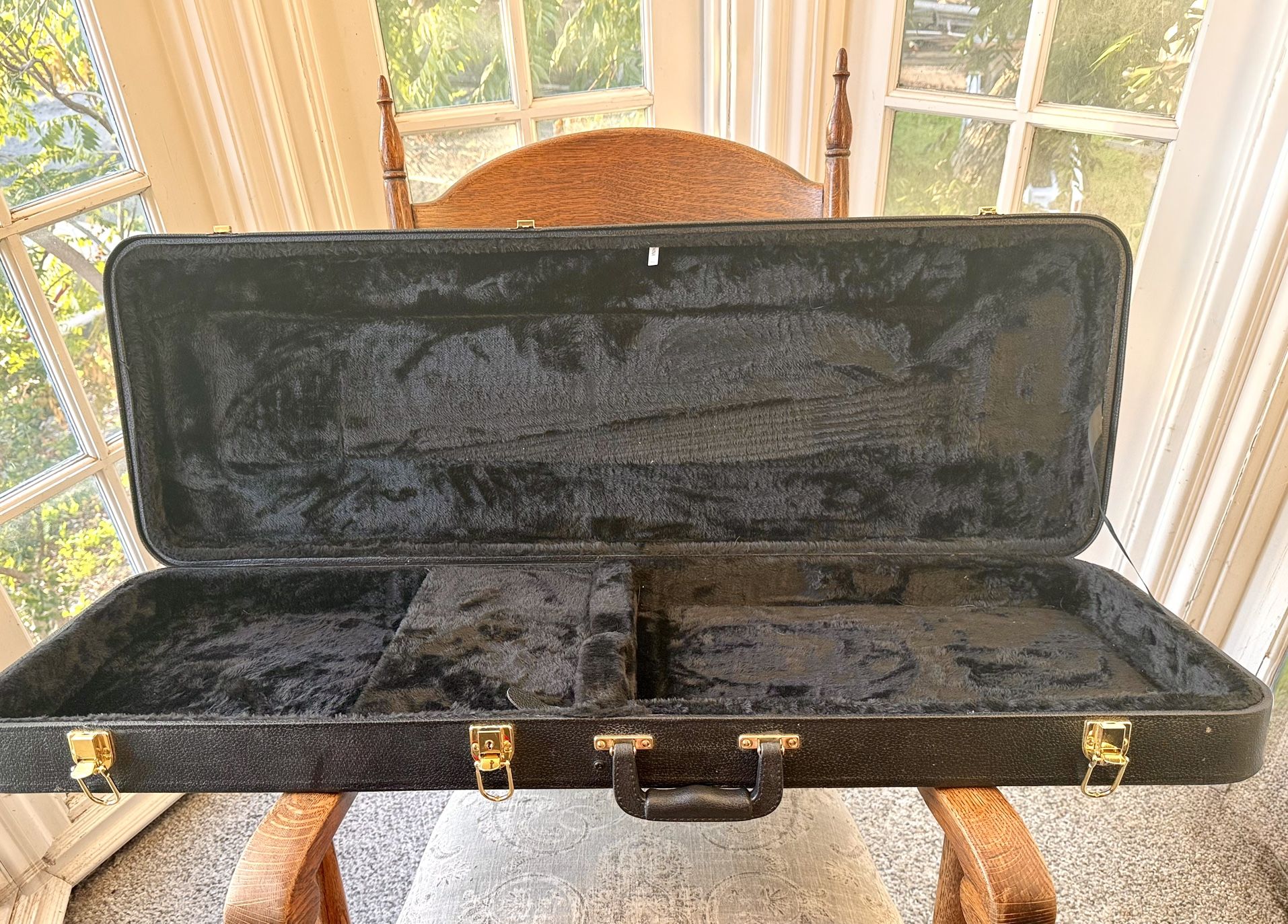 Telecaster/stratocaster  Guitar Case 