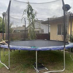Trampoline 