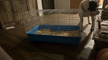 Guinea pig cage