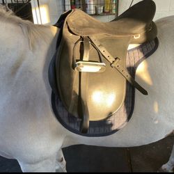 17.5" Wintec 2000 Saddle w/ Easy Change Gullet system