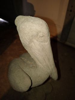 Pelican on a Rocks
