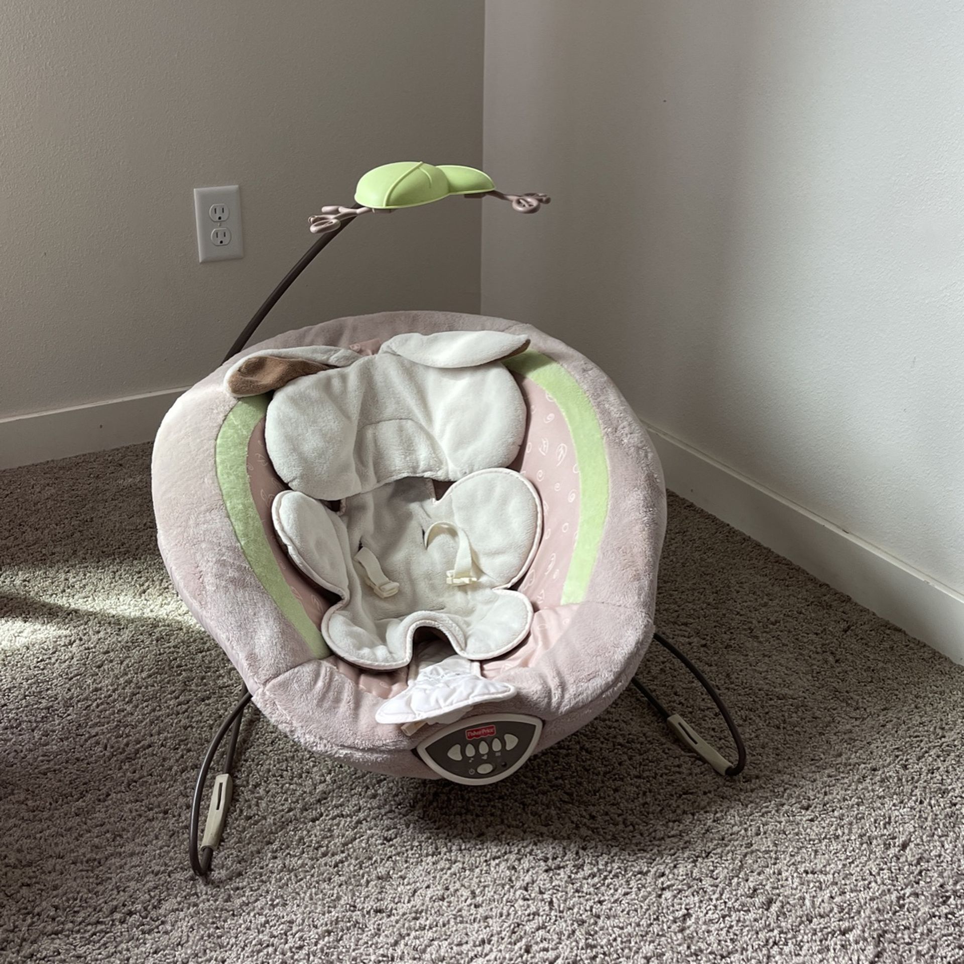 Baby Bouncer