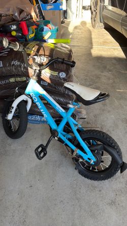 Free little kid bike