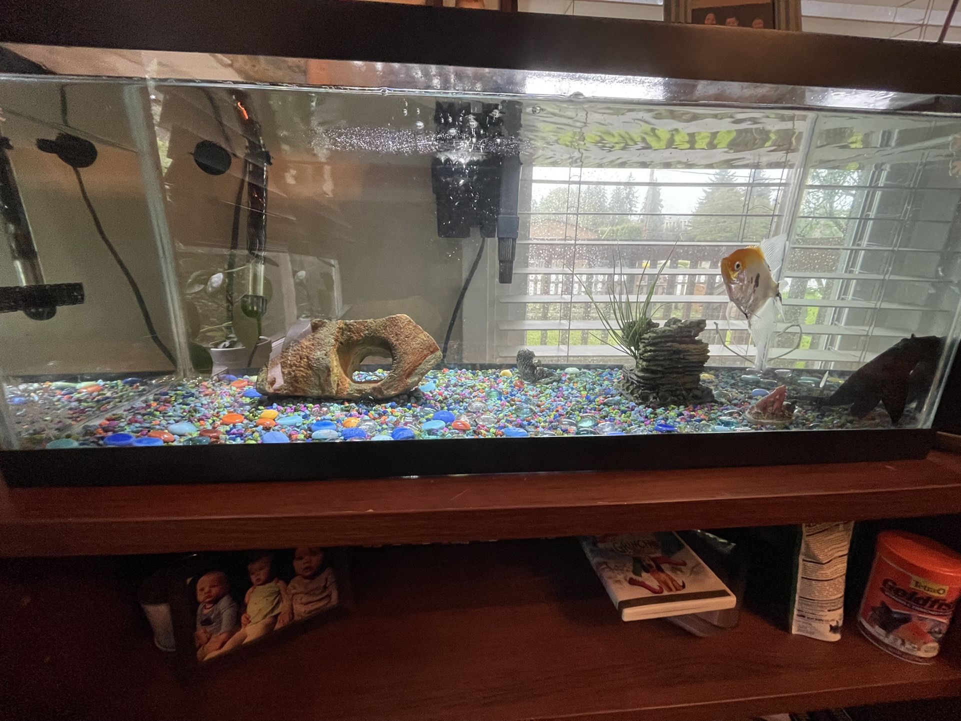 20 Gallon Aqueon Fish Tank