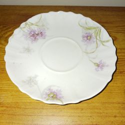Beautiful Collectible Saucer
