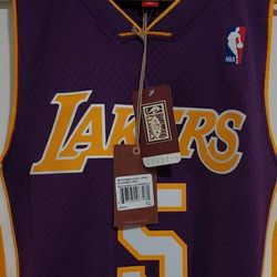 Los Angeles Lakers Robert Horry Mitchell & Ness NBA HWC Swingman Jersey Men's Size Small Authentic New 