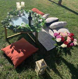 Picnic